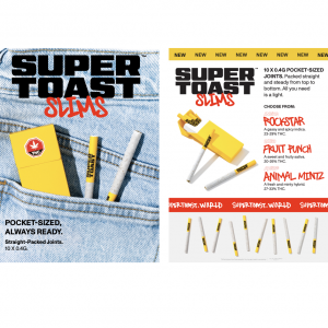 Super Toast- Slims (RS, FP, AM version) - Digital printable Info sheet- 8.5 x 11"